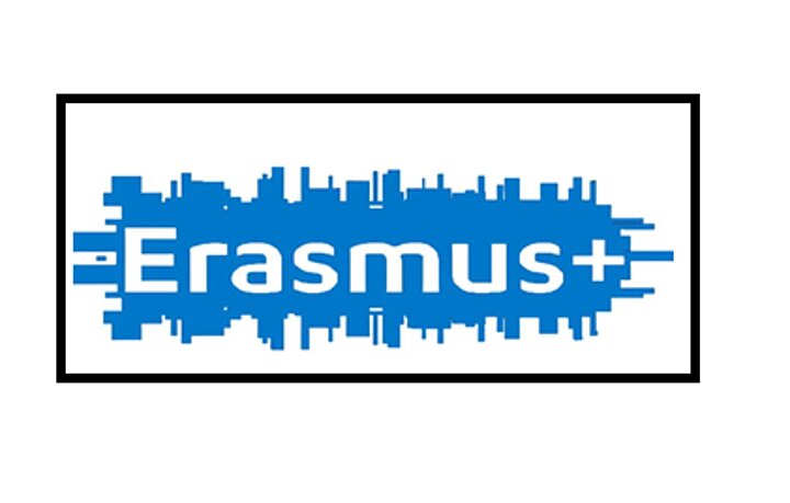 Euraxess logo
